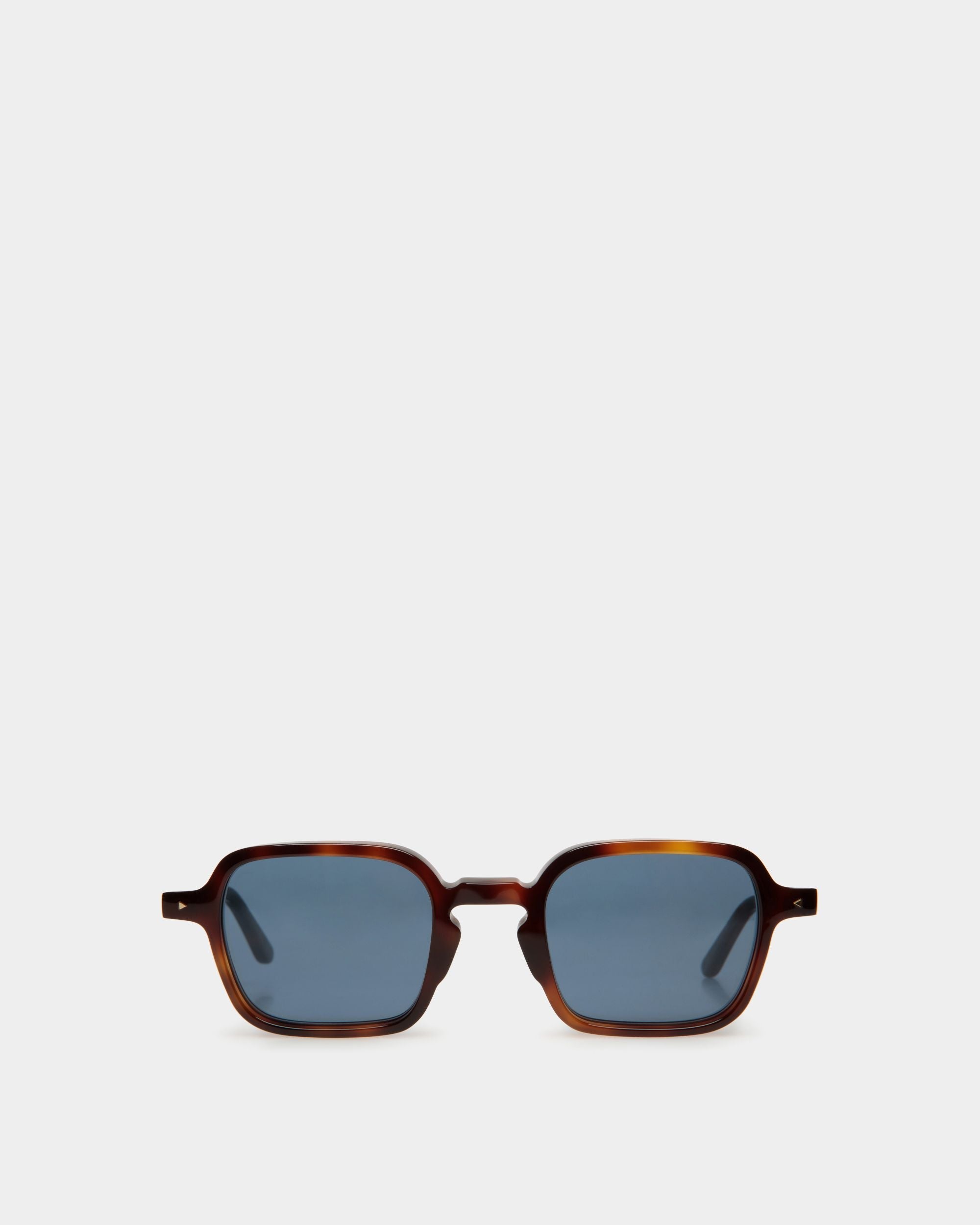 Werner Sunglasses In Havana Acetate