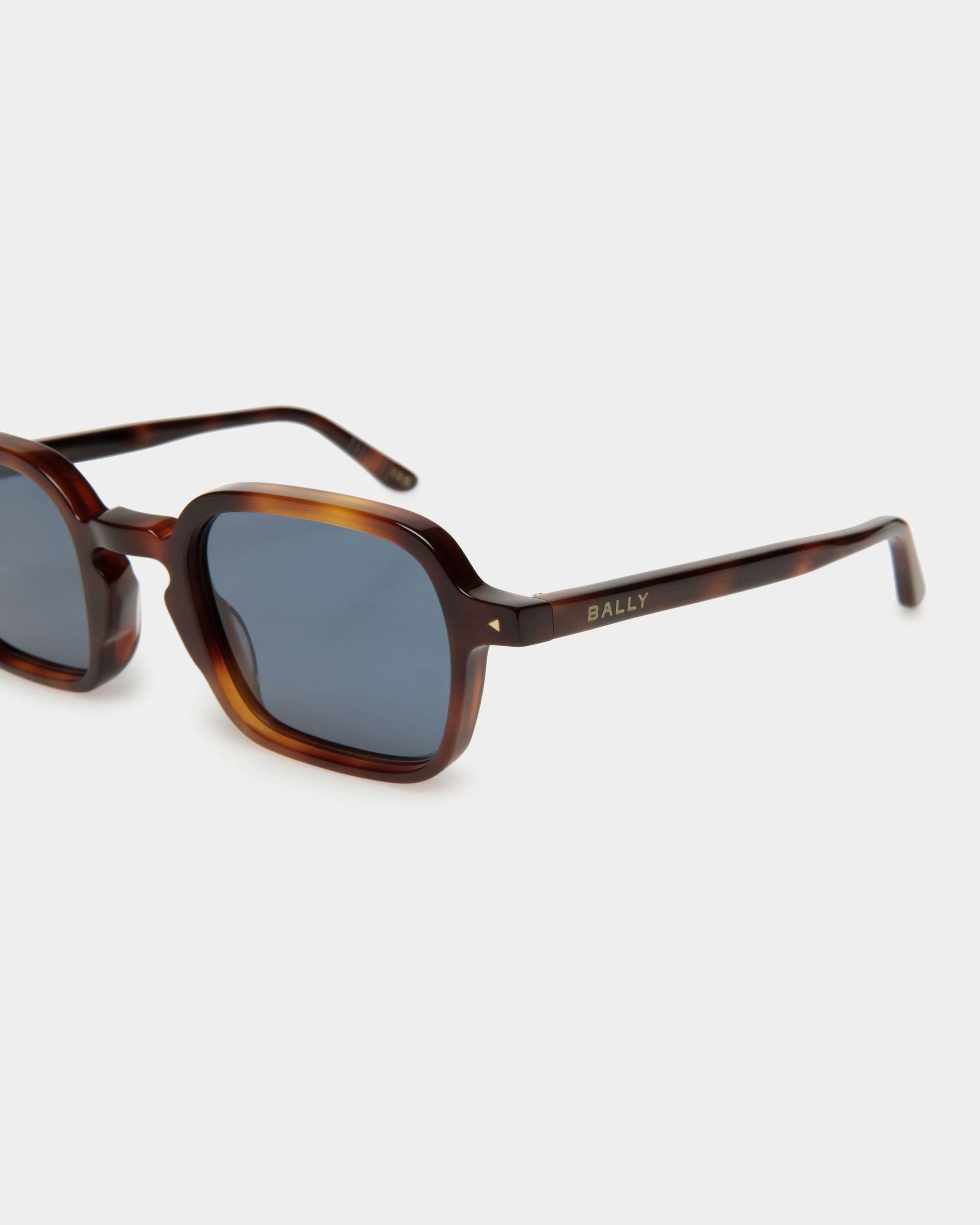 Werner Sunglasses In Havana Acetate - Image 3