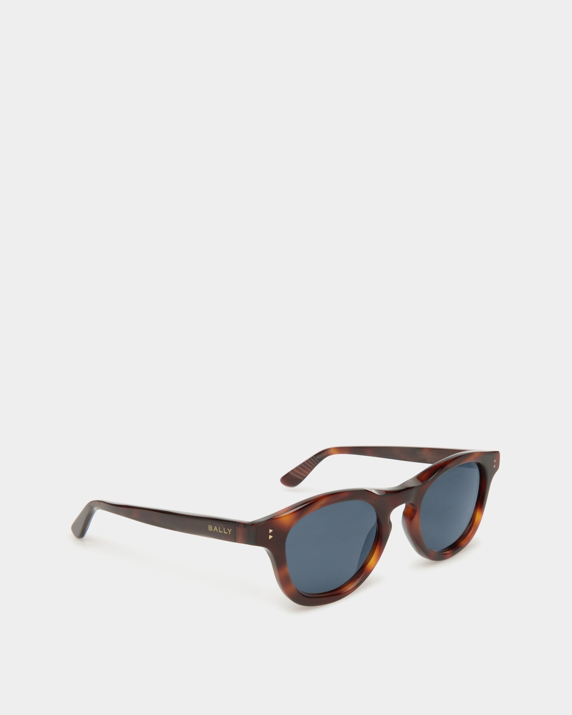 Dieter Sunglasses In Havana Acetate - Image 2