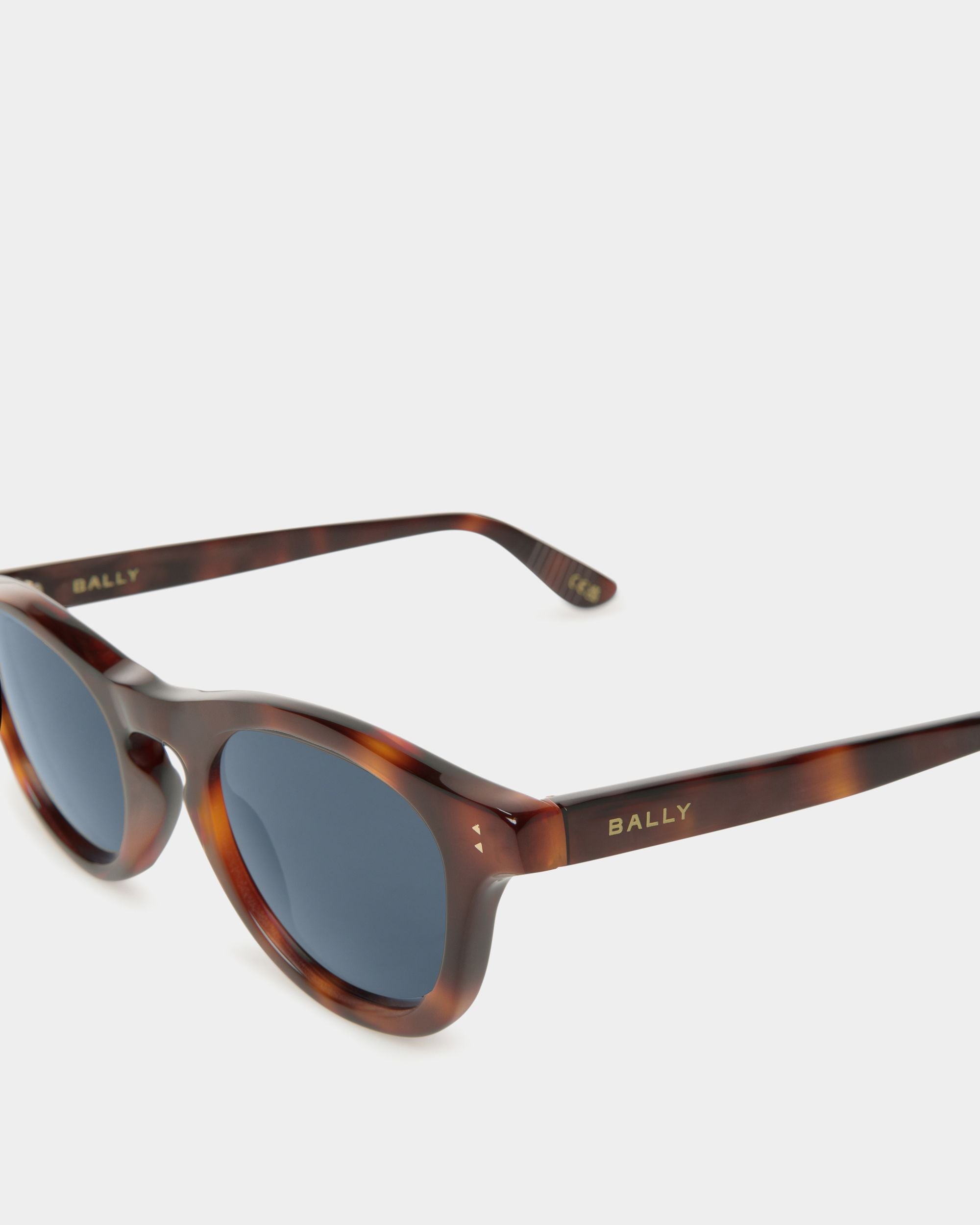 Dieter Sunglasses In Havana Acetate - Image 3