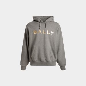 Logo Hooded Sweatshirt In Grey Melange Cotton