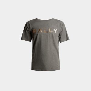 Logo T-Shirt In Grey Melange Cotton