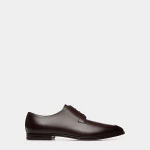 Westminster Derby in Ebano Leather