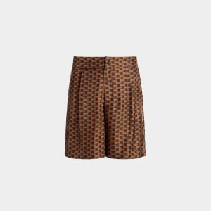 Pennant Shorts in Brown Silk